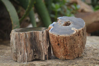 Polished Petrified Wood Branch Pieces x 3 From Gokwe, Zimbabwe