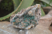 Natural Ball Malachite On Quartz Matrix Specimens x 3 From Kambove, Congo