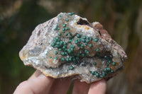 Natural Ball Malachite On Quartz Matrix Specimens x 3 From Kambove, Congo