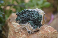 Natural Ball Malachite On Quartz Matrix Specimens x 3 From Kambove, Congo