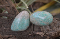 Polished Amazonite Free Forms x 24 From Zimbabwe