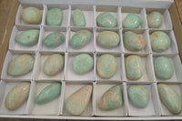 Polished Amazonite Free Forms x 24 From Zimbabwe