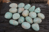 Polished Amazonite Free Forms x 24 From Zimbabwe