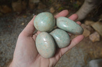 Polished Amazonite Free Forms x 24 From Zimbabwe