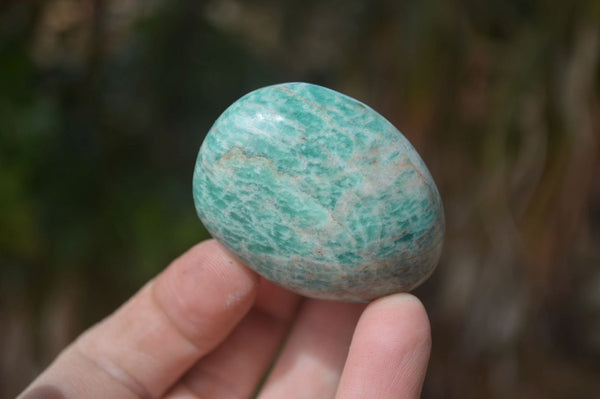 Polished Amazonite Free Forms x 24 From Zimbabwe