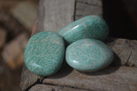 Polished Amazonite Free Forms x 24 From Zimbabwe