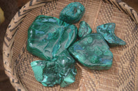 Polished Malacolla Free Forms x 6 From Kalukundi Mine, Congo