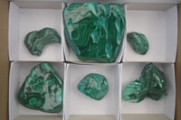 Polished Malacolla Free Forms x 6 From Kalukundi Mine, Congo