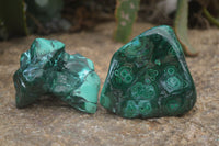 Polished Malacolla Free Forms x 6 From Kalukundi Mine, Congo