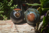 Polished Polychrome Jasper Spheres x 2 From Madagascar