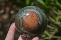 Polished Polychrome Jasper Spheres x 2 From Madagascar