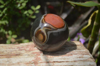 Polished Polychrome Jasper Spheres x 2 From Madagascar