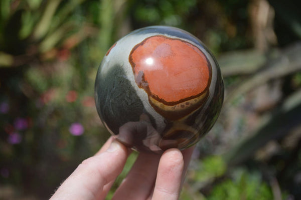 Polished Polychrome Jasper Spheres x 2 From Madagascar