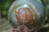 Polished Polychrome Jasper Spheres x 2 From Madagascar