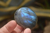 Polished Labradorite Palm Stones x 20 From Tulear, Madagascar