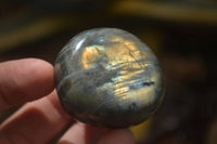 Polished Labradorite Palm Stones x 20 From Tulear, Madagascar