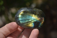 Polished Labradorite Palm Stones x 20 From Tulear, Madagascar