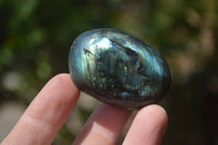 Polished Labradorite Palm Stones x 20 From Tulear, Madagascar