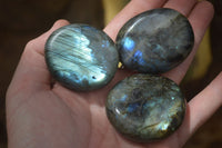 Polished Labradorite Palm Stones x 20 From Tulear, Madagascar