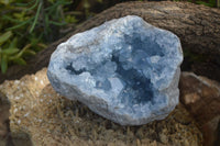 Natural Celestite Geode Specimen x 1 From Sakoany, Madagascar