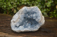 Natural Celestite Geode Specimen x 1 From Sakoany, Madagascar