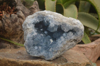 Natural Celestite Geode Specimen x 1 From Sakoany, Madagascar