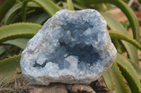 Natural Celestite Geode Specimen x 1 From Sakoany, Madagascar