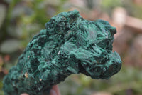 Natural Silky Malachite Specimens x 7 From Kasompe, Congo