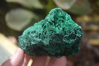 Natural Silky Malachite Specimens x 7 From Kasompe, Congo