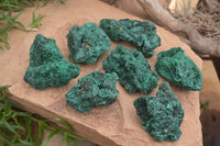 Natural Silky Malachite Specimens x 7 From Kasompe, Congo