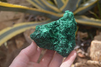 Natural Silky Malachite Specimens x 7 From Kasompe, Congo