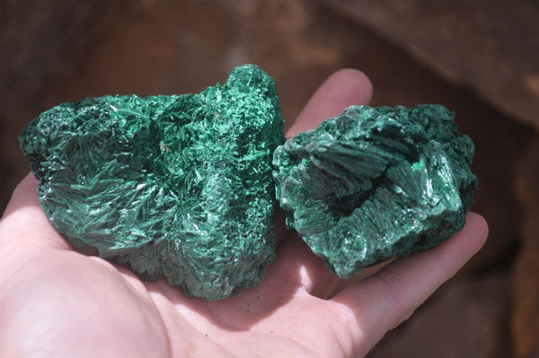 Natural Silky Malachite Specimens x 7 From Kasompe, Congo