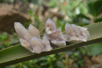 Natural Amethyst Spirit Quartz Clusters x 15 From Boekenhouthoek, South Africa