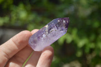 Polished Smokey Window Amethyst Quartz Crystals x 24 From Akansobe, Madagascar