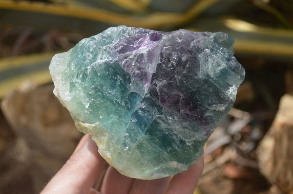 Natural Watermelon Fluorite Cobbed Specimens x 6 From Uis, Namibia