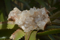 Natural Limonite Quartz Clusters x 12 From Solwezi, Zambia