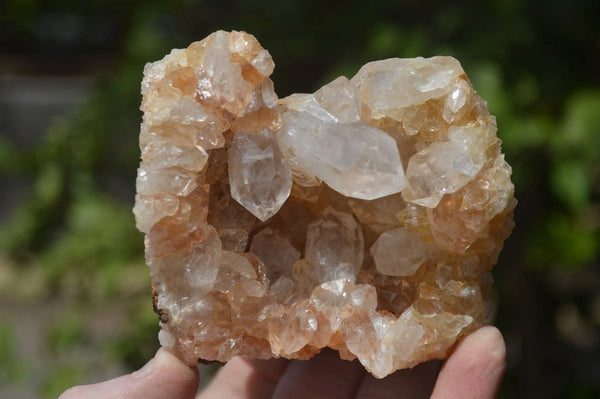 Natural Limonite Quartz Clusters x 12 From Solwezi, Zambia