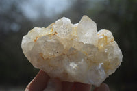 Natural Limonite Quartz Clusters x 12 From Solwezi, Zambia