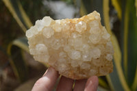 Natural Limonite Quartz Clusters x 12 From Solwezi, Zambia