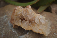 Natural Limonite Quartz Clusters x 12 From Solwezi, Zambia