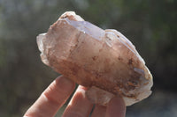 Natural Mixed Selection Of Quartz Clusters x 6 From Southern Africa