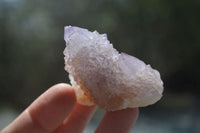 Natural Amethyst Spirit Quartz Clusters x 20 From Boekenhouthoek, South Africa