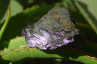 Natural Metallic Purpurite Cobbed Specimens x 6 From Erongo, Namibia