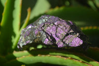 Natural Metallic Purpurite Cobbed Specimens x 6 From Erongo, Namibia