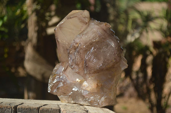 Natural Smokey Window Quartz Cluster x 1 From Brandberg, Namibia