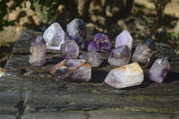 Polished Smokey Amethyst Window Quartz Crystals x 12 From Akansobe, Madagascar