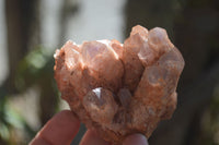 Natural Assortment Of Crystal Specimens x 12 From Southern Africa