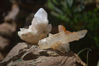 Natural Assortment Of Crystal Specimens x 12 From Southern Africa