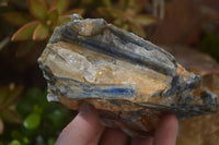 Natural Kyanite In Matrix Specimens x 6 From Zimbabwe