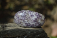 Polished Lepidolite with Pink Rubellite Palm Stones x 26 From Ambatondrazaka, Madagascar